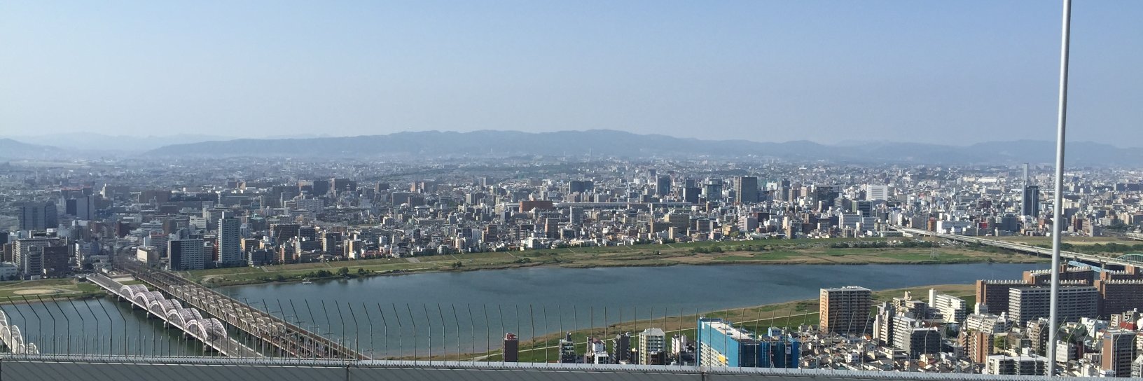 赤秋田のしっぽ🍑🍀 banner