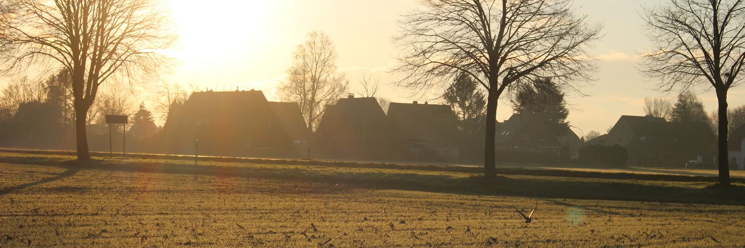 lukas_mue's profile banner image