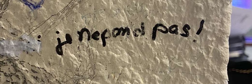 DfqOrnella's profile banner image