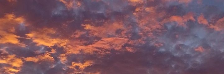 M©£¹ banner