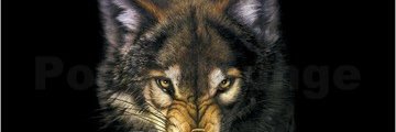 strangemitra's profile banner image