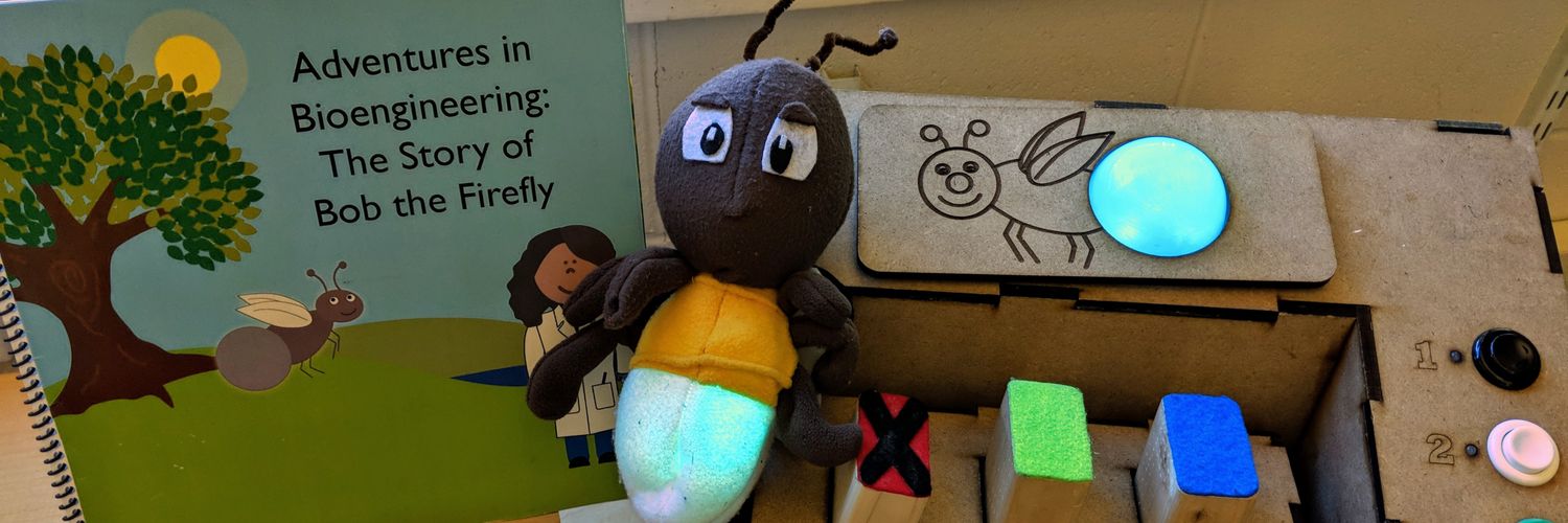 Dr. Amanda Strawhacker banner