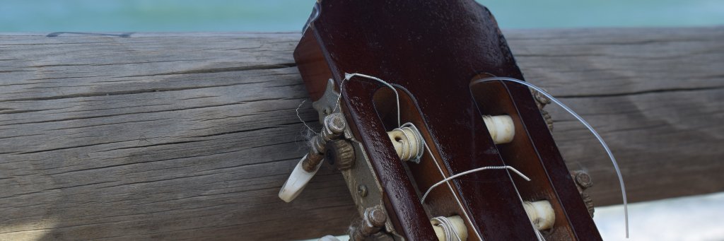 lidiauve's profile banner image