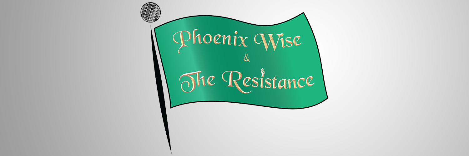 Phoenix Wise & The Resistance Ⓥ ✊🏽's banner