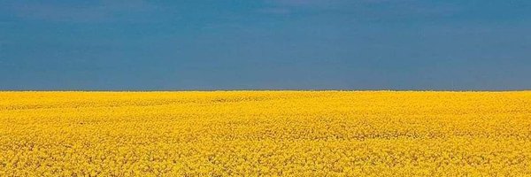 lindavigors5 Profile Banner