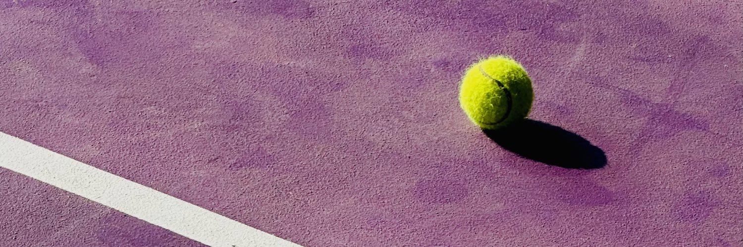 rizardinata's profile banner image