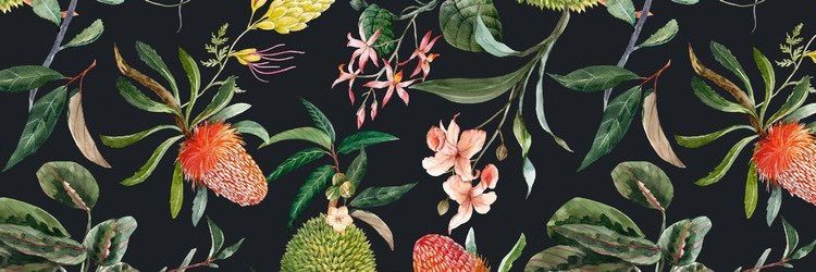 Guguicala's profile banner image