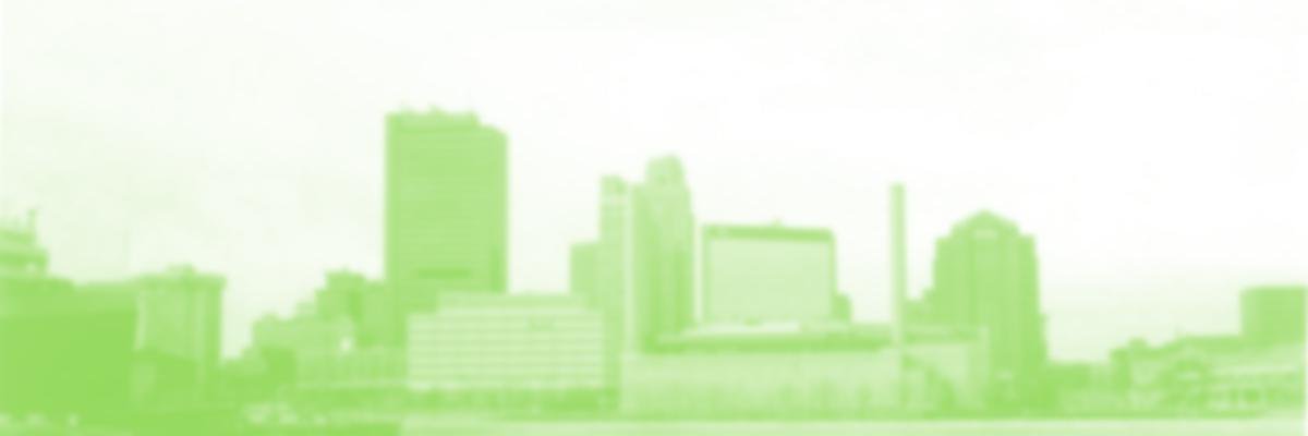 Lucas County Green banner