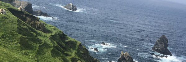 LPWalkr Profile Banner