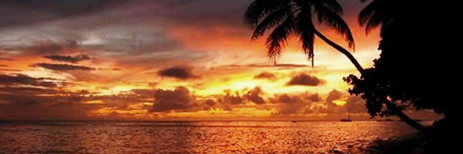 debs_arnold's profile banner image