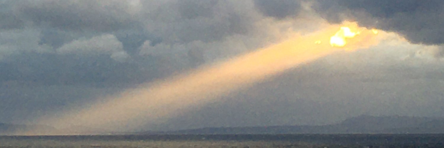 ste11a1230's profile banner image