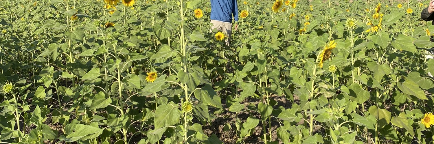 Lonelydawor's profile banner image