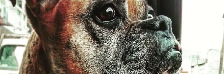 ricky_florees's profile banner image