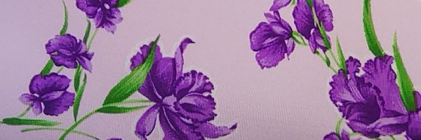 budget_kun Profile Banner