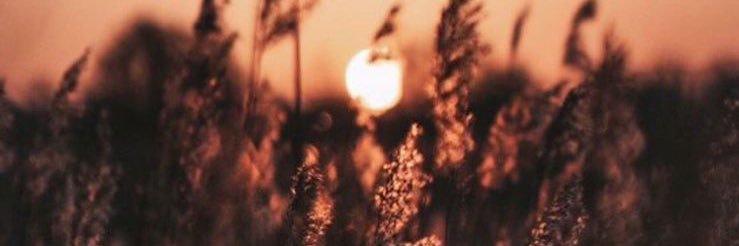 halbk2's profile banner image