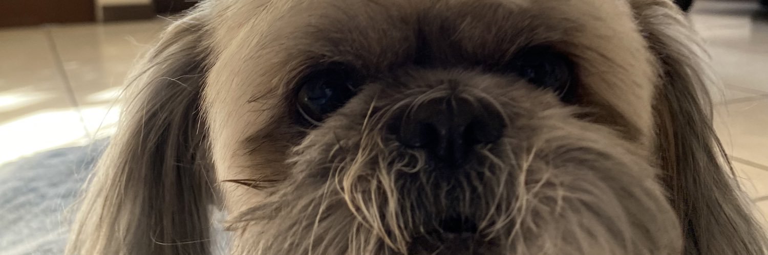 FerchoMan__'s profile banner image