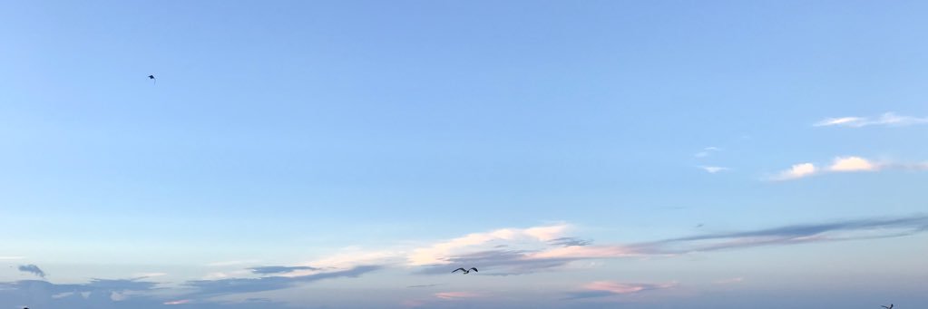 nickj1219's profile banner image