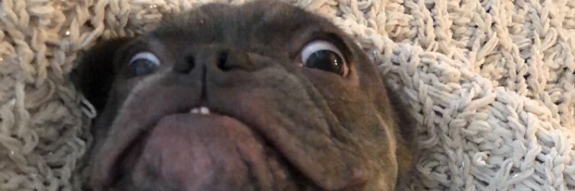 baby banner