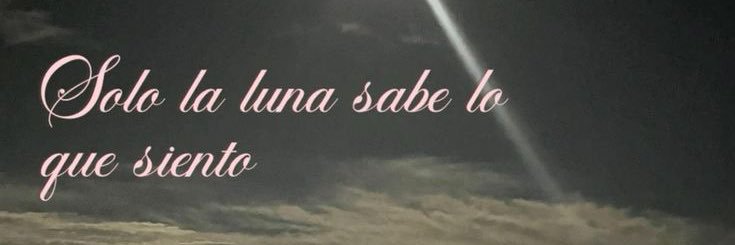 tugceao's profile banner image