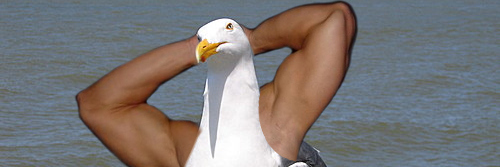 AnonymousUsrnm's profile banner image