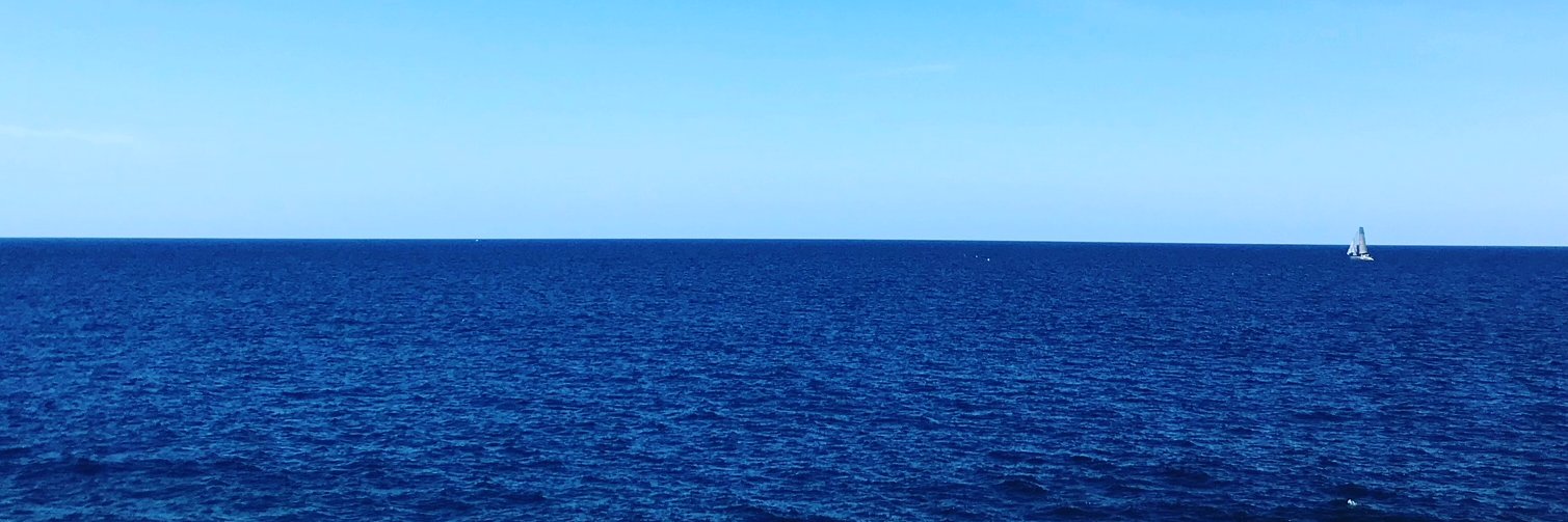 Marc Fuertes Alpiste banner