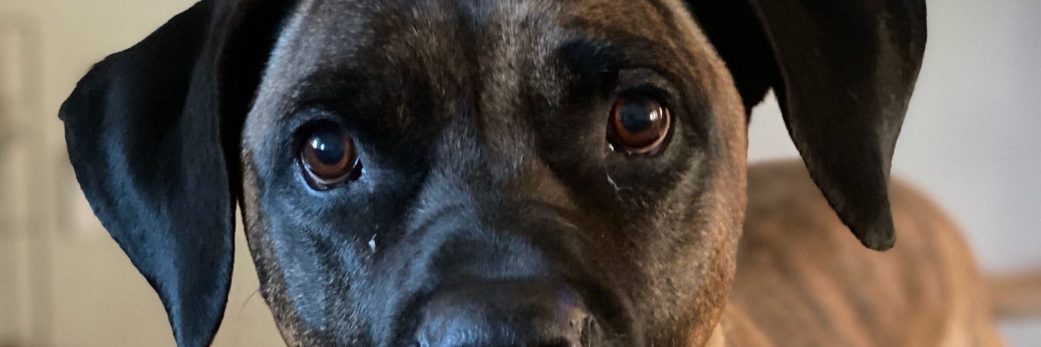 Cb_Rico's profile banner image