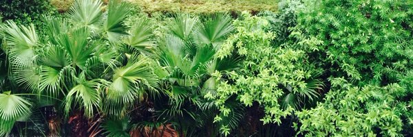 nkreports Profile Banner