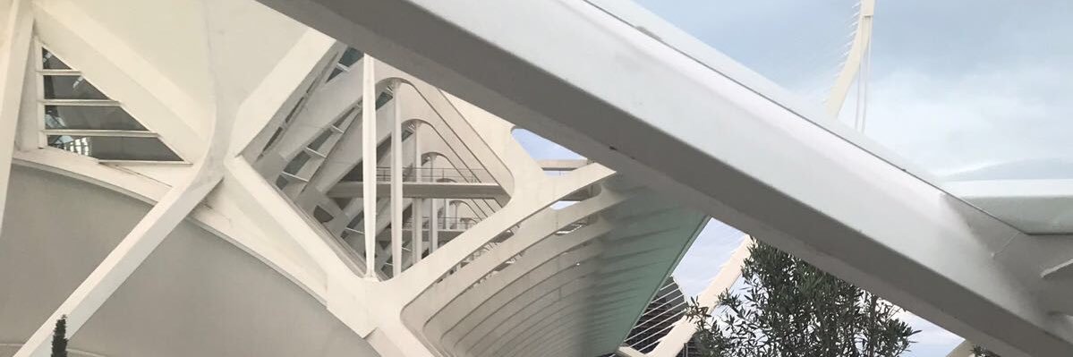 Carolina Pascual banner