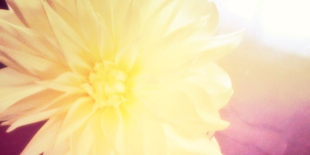 asa1409's profile banner image