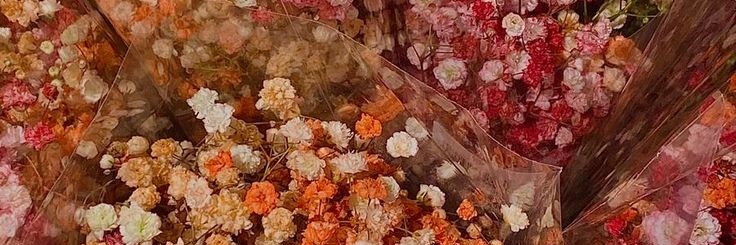 mapooo banner