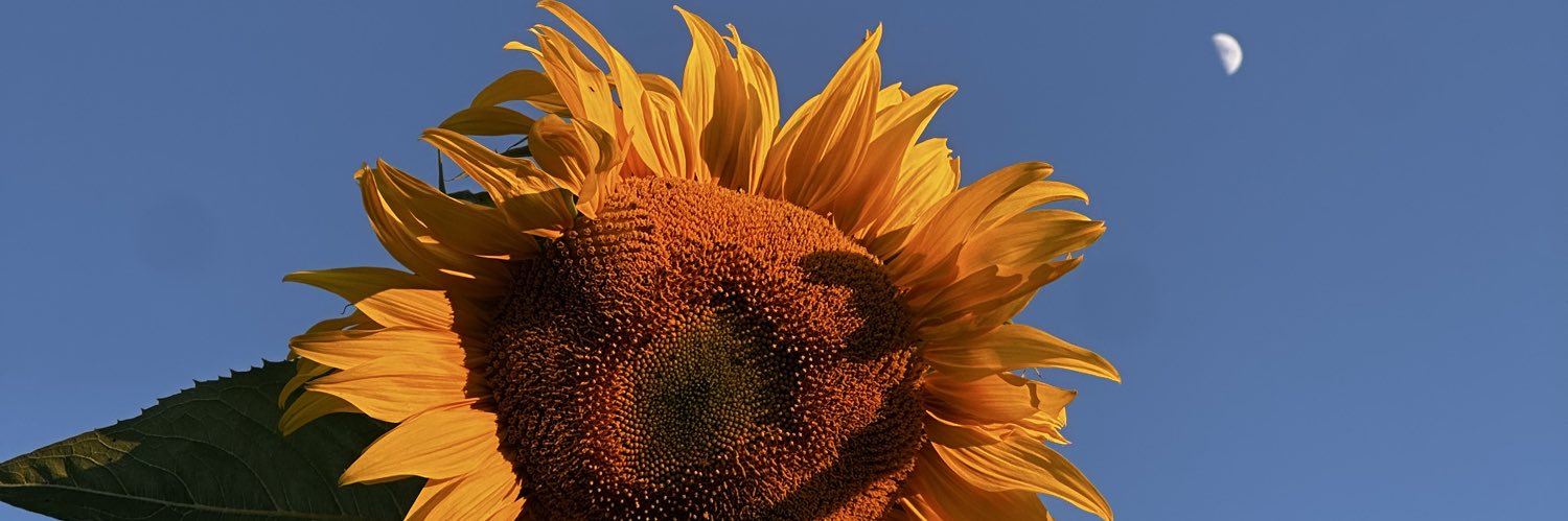kristinthecap's profile banner image