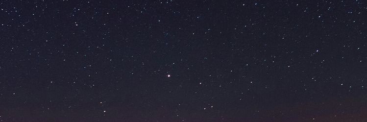 MalaHunters's profile banner image