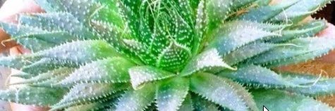 expolilla's profile banner image