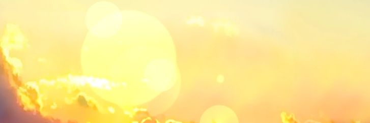 Принцесса долины эльфов banner