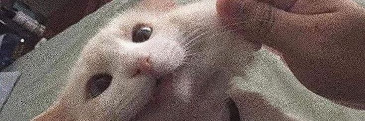 SpAc3ToucAnon's profile banner image