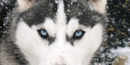 azz00071's profile banner image