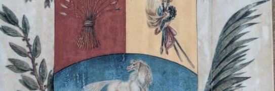 Pedro Itriago Camejo's banner