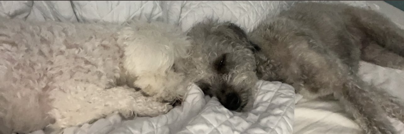 Alexandria Floyd, M.Ed banner