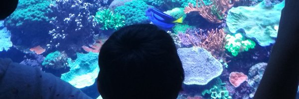 Antuan33 Profile Banner