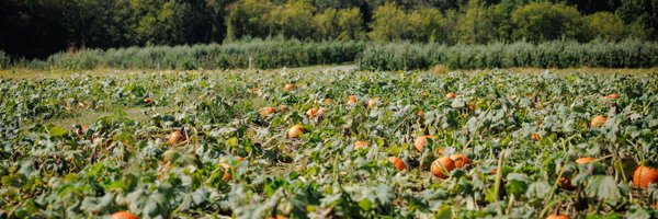 PAAgriculture Profile Banner