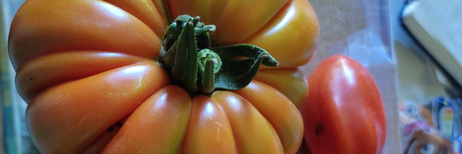 G la cravetouse battologue banner