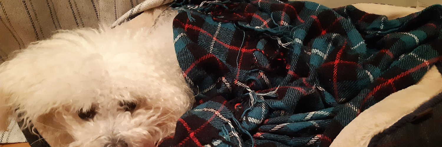 M.Q. Tate 🇮🇲 banner