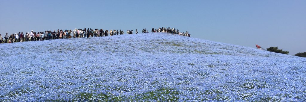 Joeeeee87's profile banner image