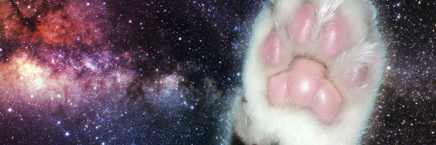 🌟space the CAT🌟 banner