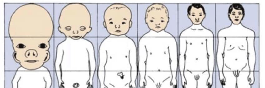 Science Diagrams that Look Like Shitposts banner