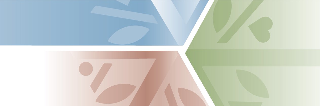 The Vanier Institute banner