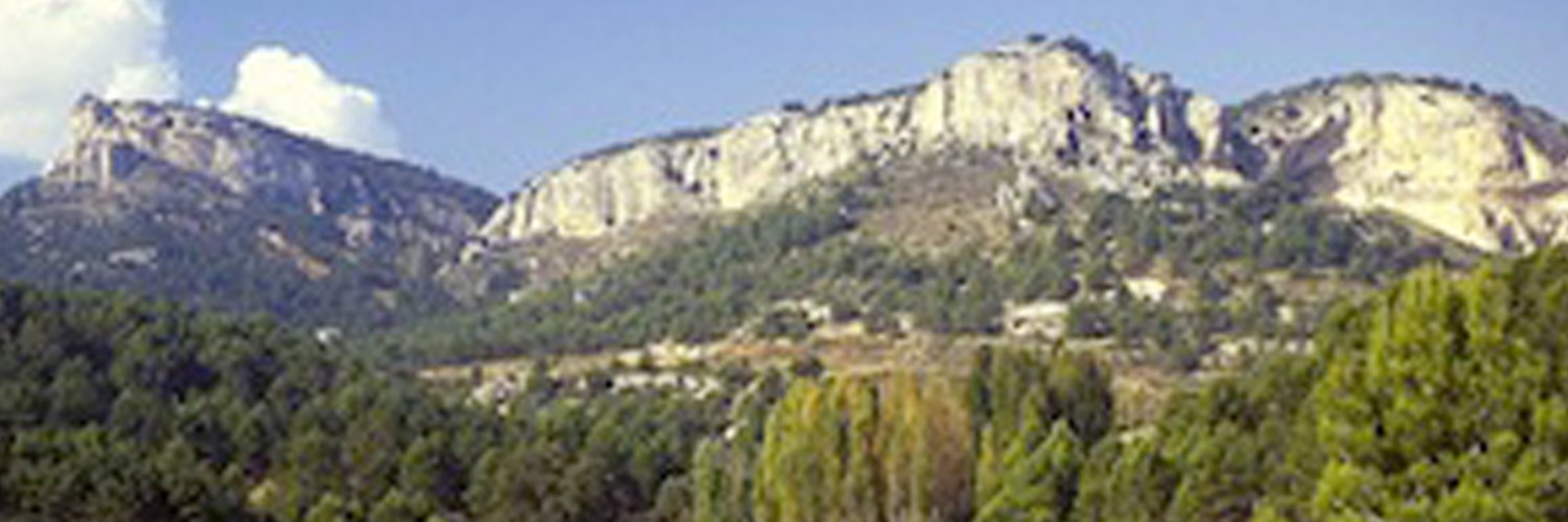 Antón's banner