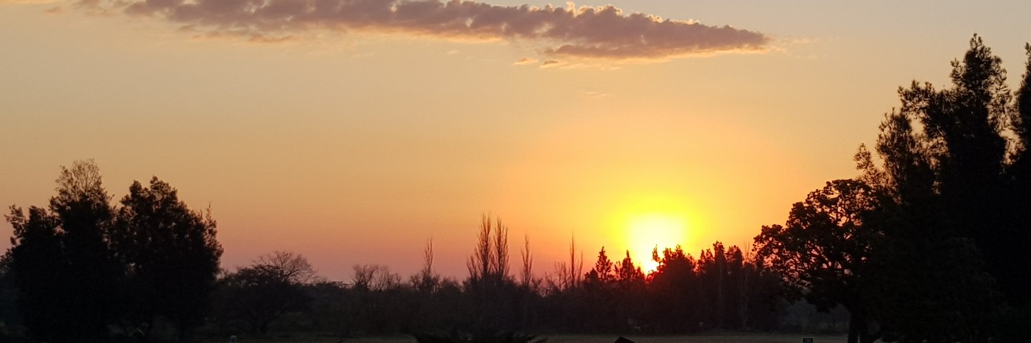 AnellaReta's profile banner image
