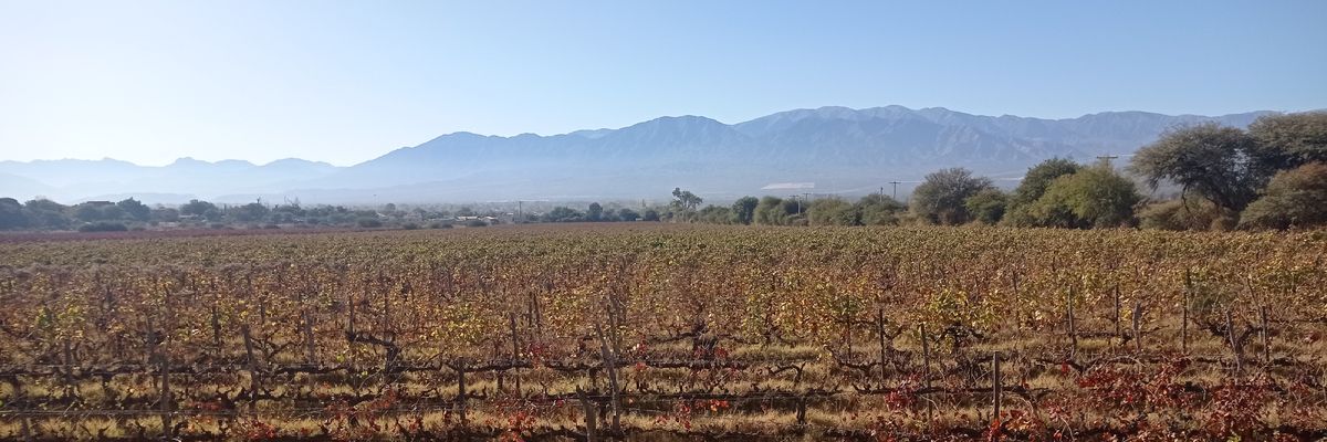 sol_fernandez's profile banner image