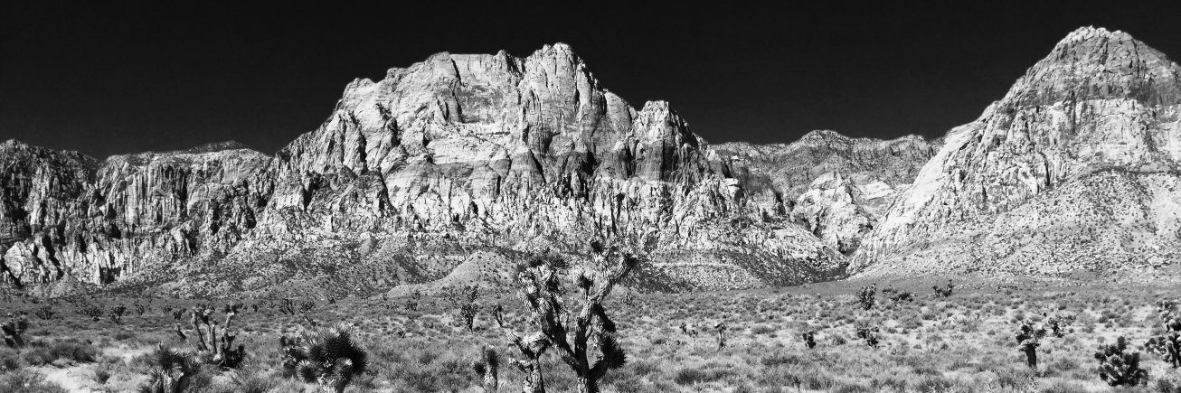 Professor Electric banner